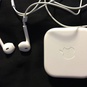 Apple earbuds w/Apple case included.